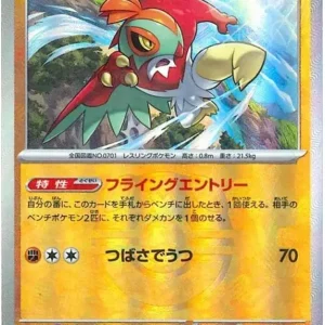 Hawlucha (MASTERBALL)